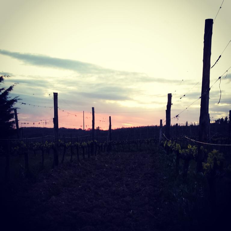 Agriturismo Il Cocco Montalcino Extérieur photo