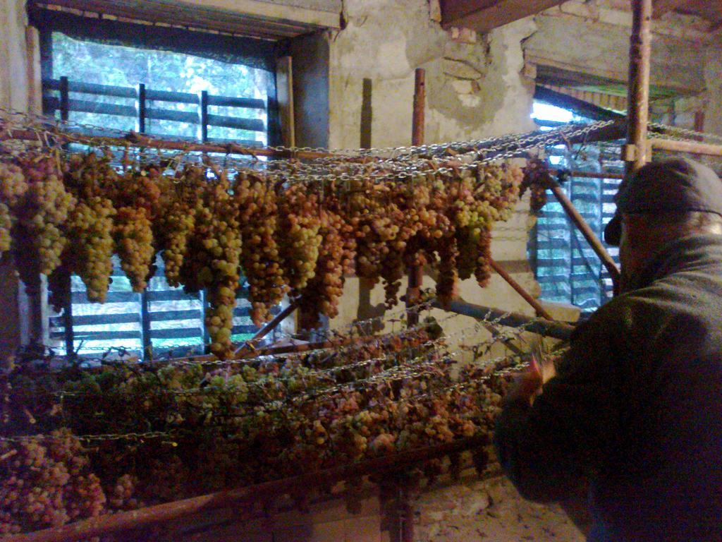 Agriturismo Il Cocco Montalcino Extérieur photo