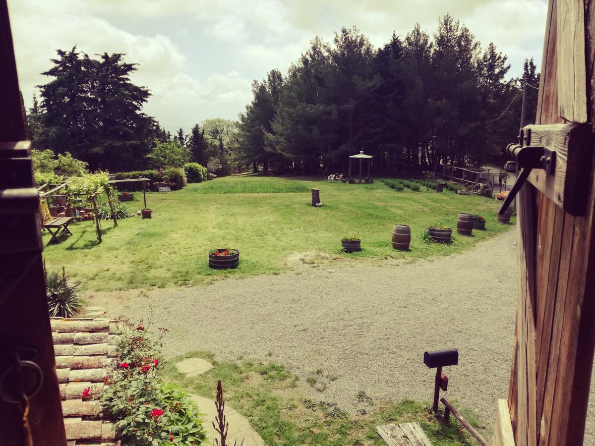 Agriturismo Il Cocco Montalcino Extérieur photo