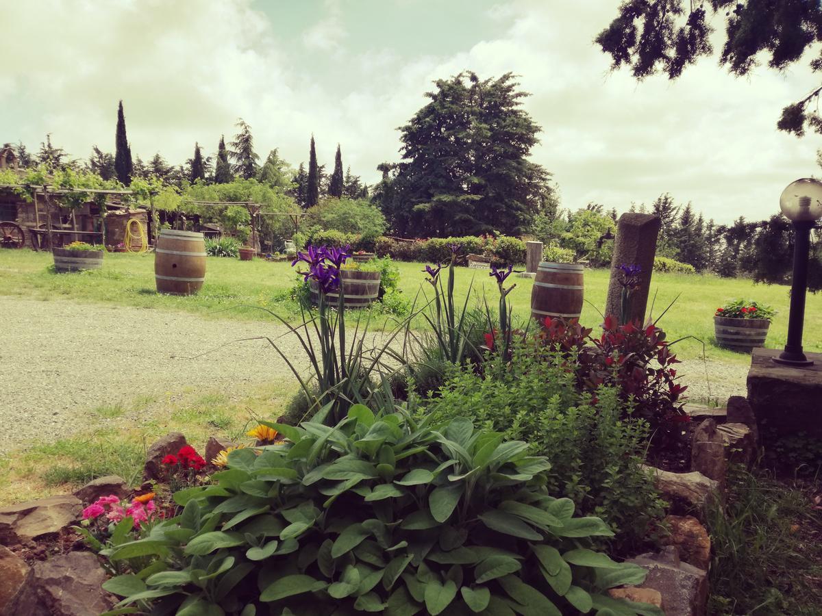 Agriturismo Il Cocco Montalcino Extérieur photo